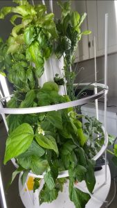 Juice Plus Tower Garden on thebusywoman.com